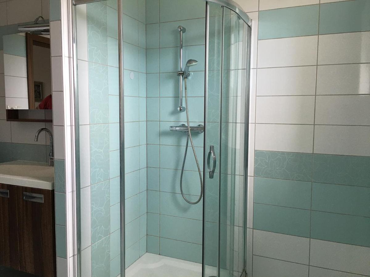 Apartman Krasna Vyhlidka Dolni Benesov Dış mekan fotoğraf